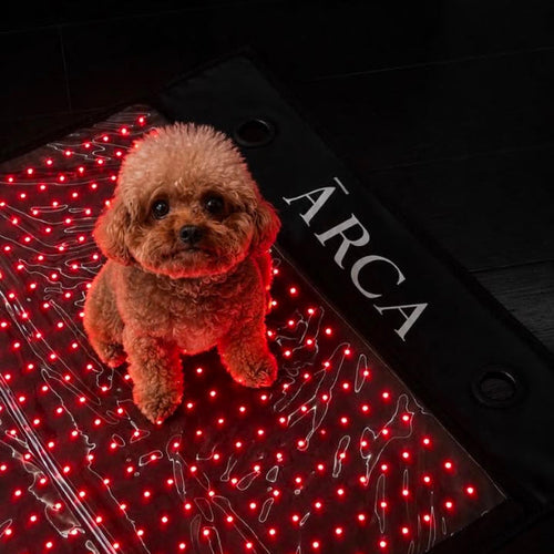 ĀRCA MAT MINI